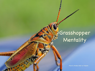 Seeds Of Destiny (SOD) Devotional, 28 October 2020 – The Grasshopper Mentality
