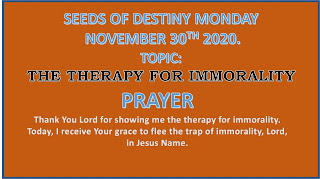 The Therapy For Immorality – SOD 30 November 2020