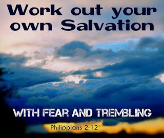 Catholic Daily Reading + Reflection, 4 November 2020 – Work Out Your Own Salvation