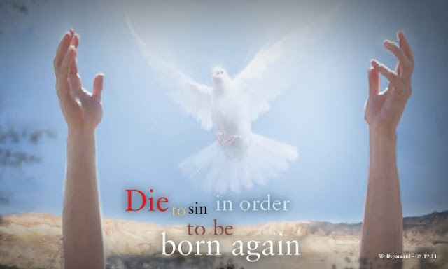 Seeds Of Destiny (SOD): Wed. 26 August 2020 – Being Born Again To Live Again